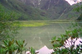 蓮花湖