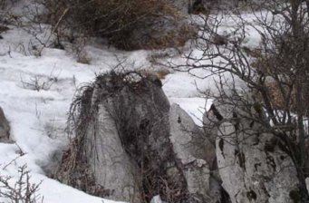 花萼山