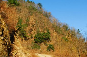 左記溝