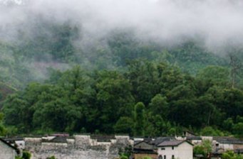 景德鎮森林公園