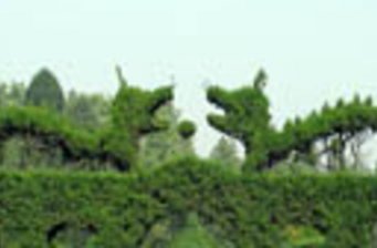剪枝公園