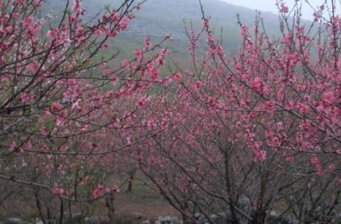 桃花谷自然風(fēng)景區(qū)