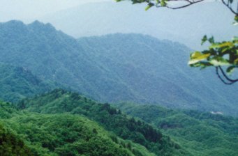 小秦嶺