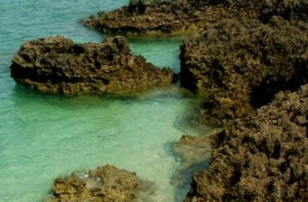 龍門激浪