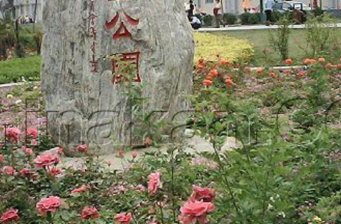 南山兒童公園