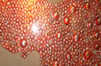 許世友將軍生前珍藏萬枚毛主席像章展廳