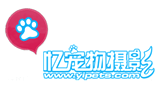 憶寵物攝影