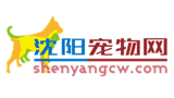 沈陽寵物網(wǎng)
