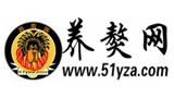 我要養藏獒網
