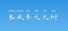 我是接班人 長成參天大樹