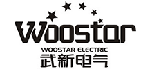 武漢武新電氣科技股份有限公司 武漢武新電氣科技股份有限公司