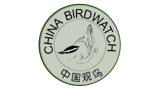 中國觀鳥