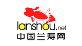 中國蘭壽網