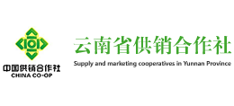 云南供銷電子商務股份有限公司