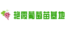 昌黎艷霞葡萄苗基地
