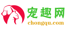 寵趣網