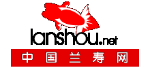 中國蘭壽網