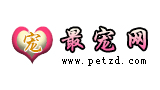 最寵網(wǎng)