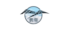 天津鵬翎集團股份有限公司