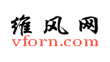 維風網