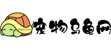 寵物烏龜網(wǎng)