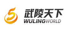貴州銅仁武陵天下網絡科技有限公司