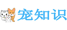 寵知識