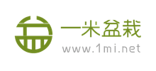 一米盆栽