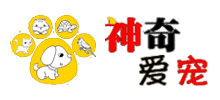 神奇愛寵網(wǎng)