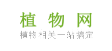 植物網(wǎng)