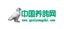 中國養(yǎng)鴿網(wǎng)