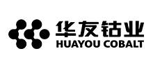 浙江華友鈷業股份有限公司 浙江華友鈷業股份有限公司
