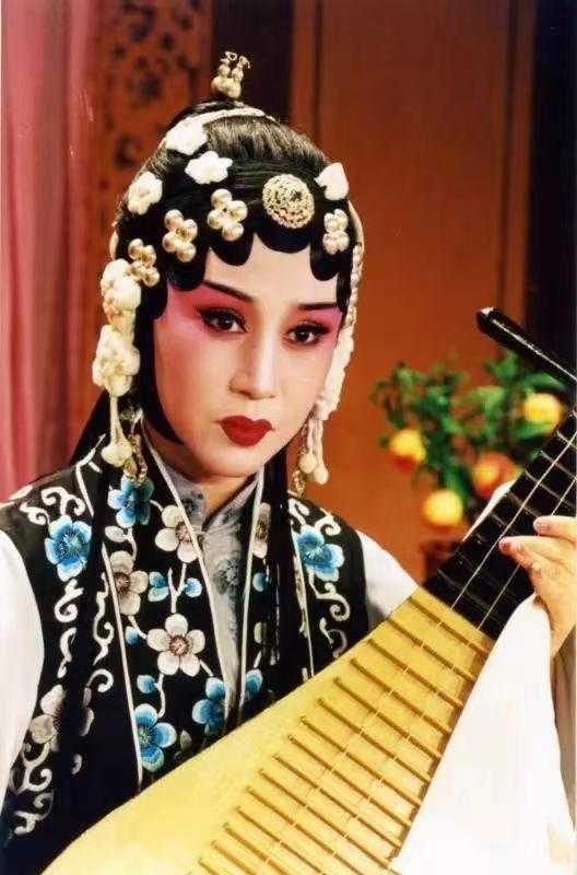 金菊花 金菊花