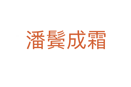 潘鬢成霜