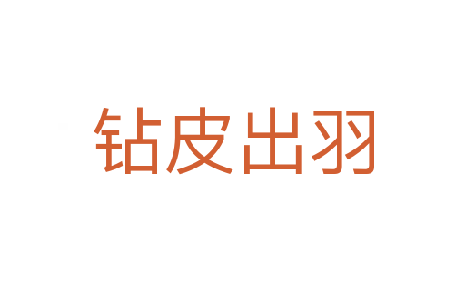 鉆皮出羽
