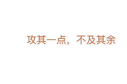 攻其一點(diǎn),不及其余