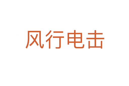 風(fēng)行電擊