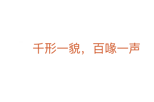 千形一貌,百喙一聲