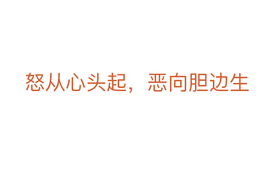 怒從心頭起，惡向膽邊生