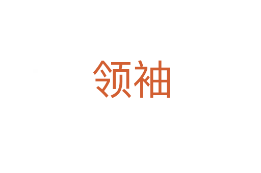 領(lǐng)袖