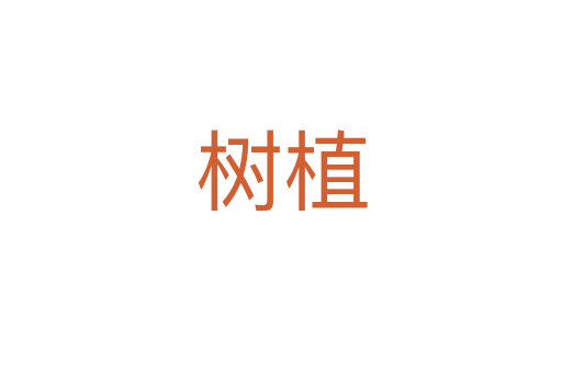 樹(shù)植