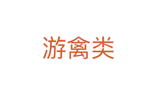 游禽類