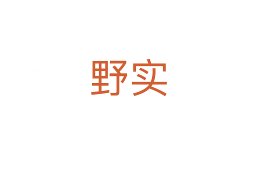 野實