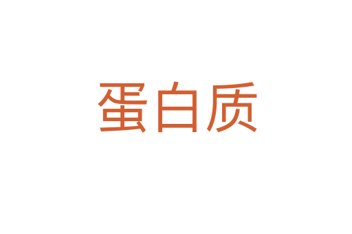 蛋白質