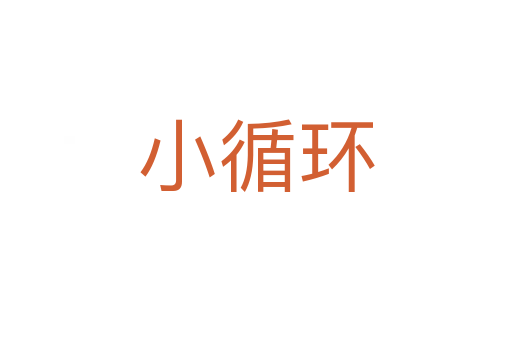 小循環