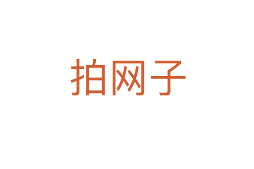 拍網子