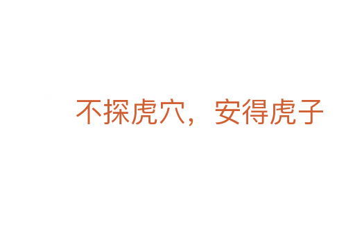 不探虎穴，安得虎子