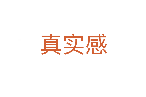 真實(shí)感