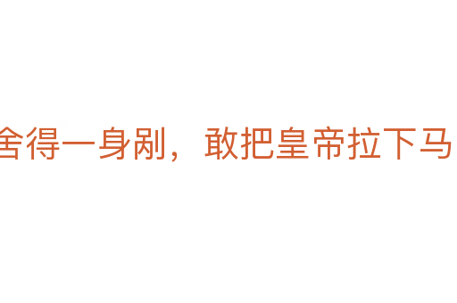 舍得一身剮，敢把皇帝拉下馬