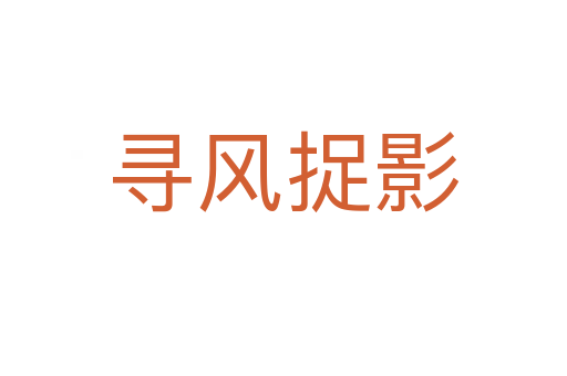 尋風(fēng)捉影